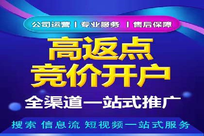 专业SEM托管：企业广告投放的明智之选